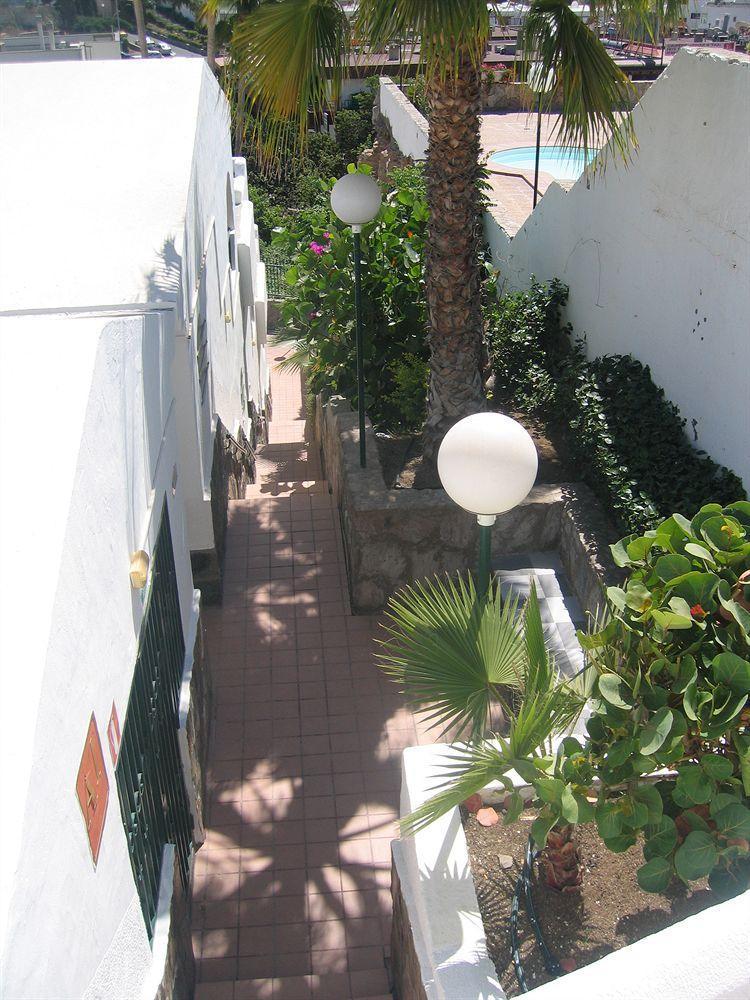 Apartamentos Laguna Πουέρτο Ρίκο Εξωτερικό φωτογραφία