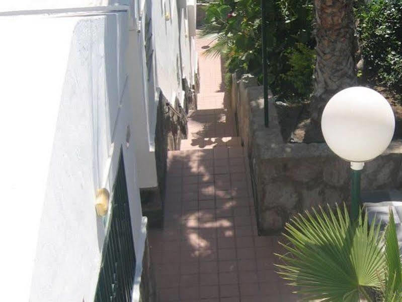 Apartamentos Laguna Πουέρτο Ρίκο Εξωτερικό φωτογραφία